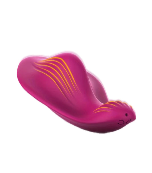 App-Controlled Wearable Vibrator